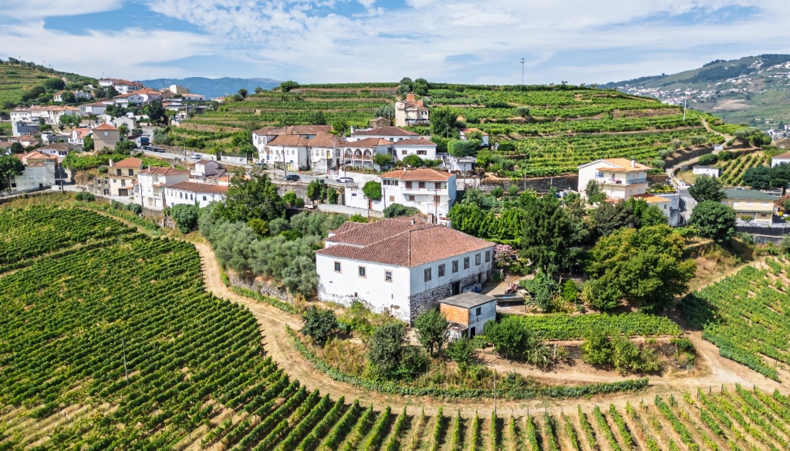 Quinta do Eidinho, a wine treasure in the heart of the Douro, Portugal_335631
