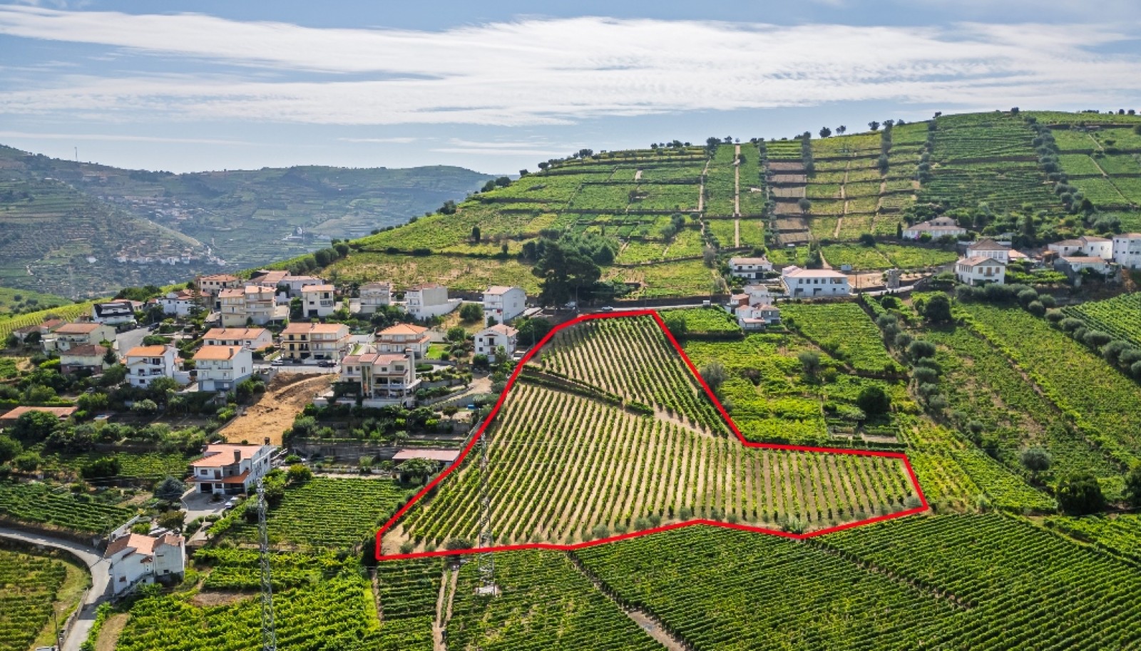 Quinta do Eidinho à venda no Douro Valley em S. M. Penaguião, Portugal_335632