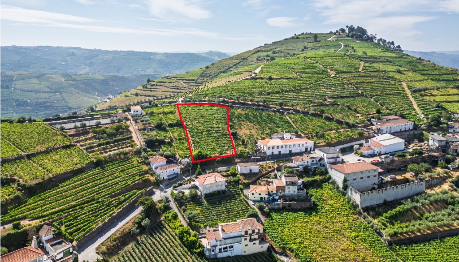 Quinta do Eidinho à venda no Douro Valley em S. M. Penaguião, Portugal_335633