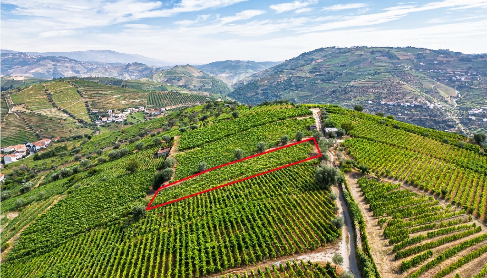 Quinta do Eidinho à venda no Douro Valley em S. M. Penaguião, Portugal_335635