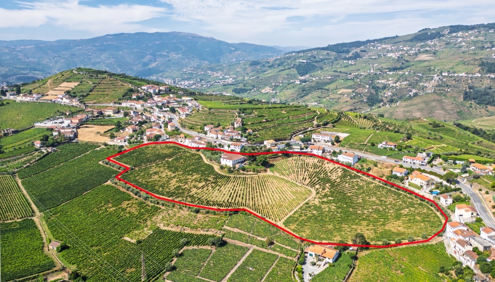 Quinta do Eidinho à venda no Douro Valley em S. M. Penaguião, Portugal_335636