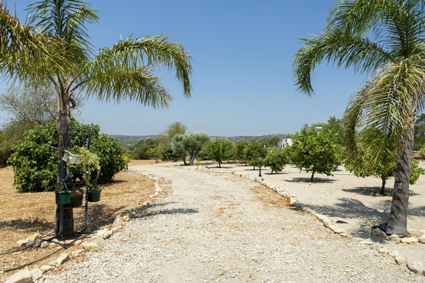 Propriedade, à venda, em Santa Bárbara de Nexe, Algarve, Portugal_336166