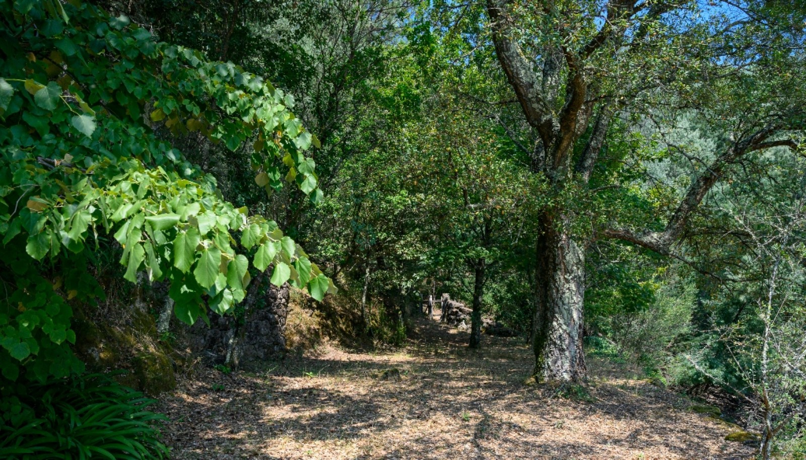 Casa em pedra, junto ao rio, Albufeira da Caniçada, Gerês, Portugal_336177