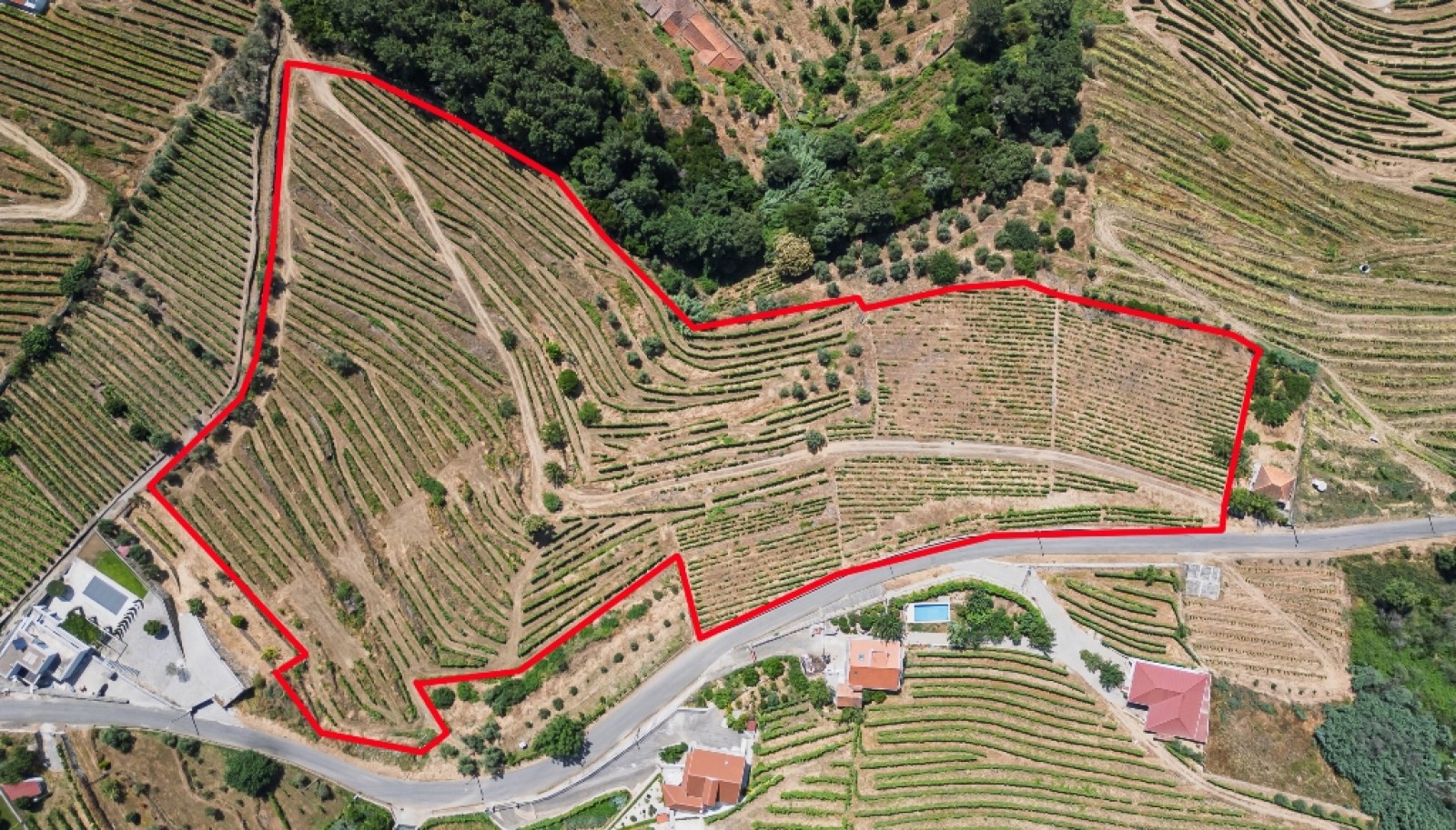 Wine estate for sale in Mesão Frio in the Douro Valley, Portugal_336463