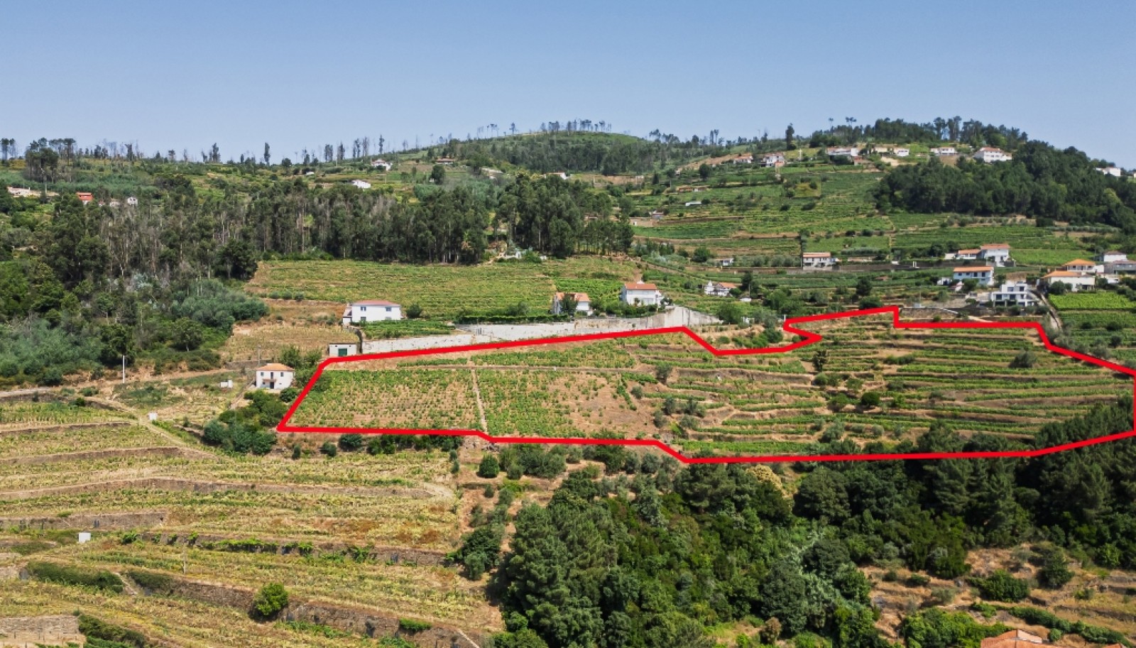 Wine estate for sale in Mesão Frio in the Douro Valley, Portugal_336464