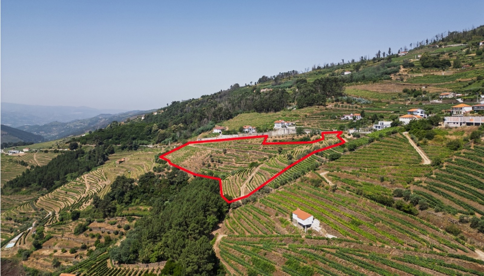 Wine estate for sale in Mesão Frio in the Douro Valley, Portugal_336465