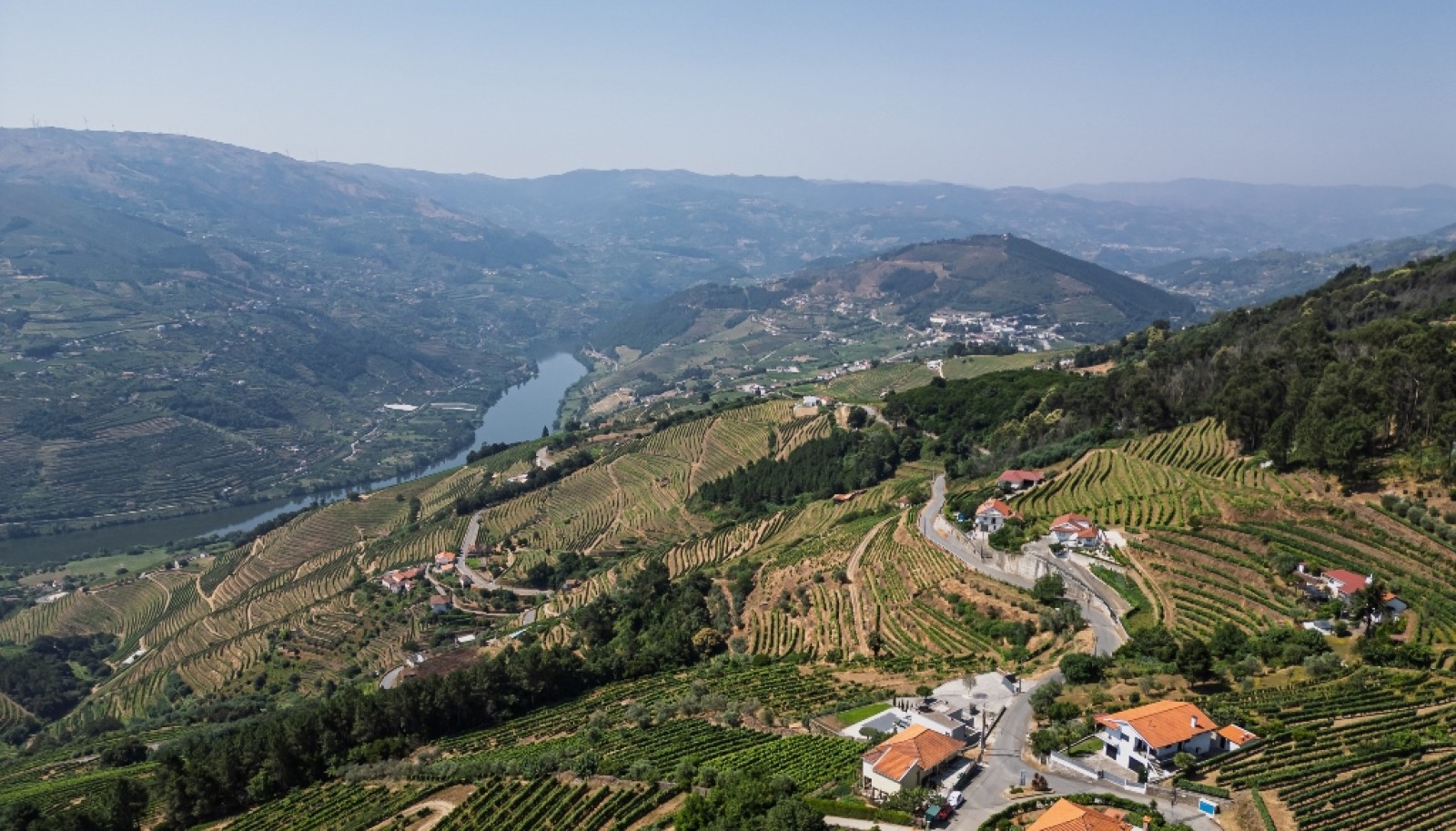 Wine estate for sale in Mesão Frio in the Douro Valley, Portugal_336471