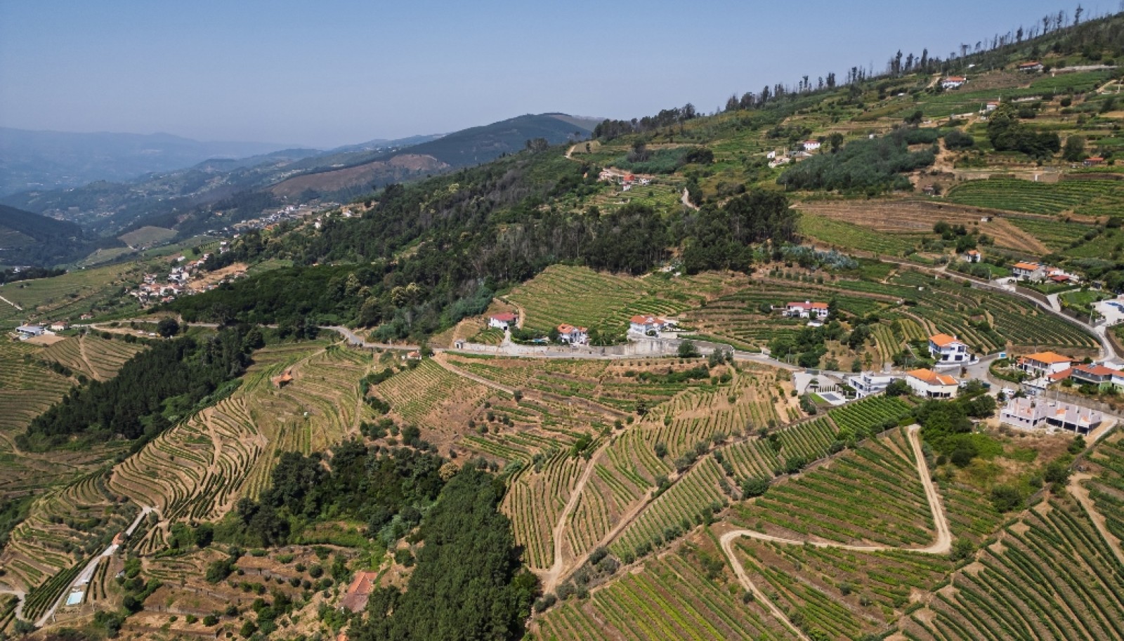 Wine estate for sale in Mesão Frio in the Douro Valley, Portugal_336502