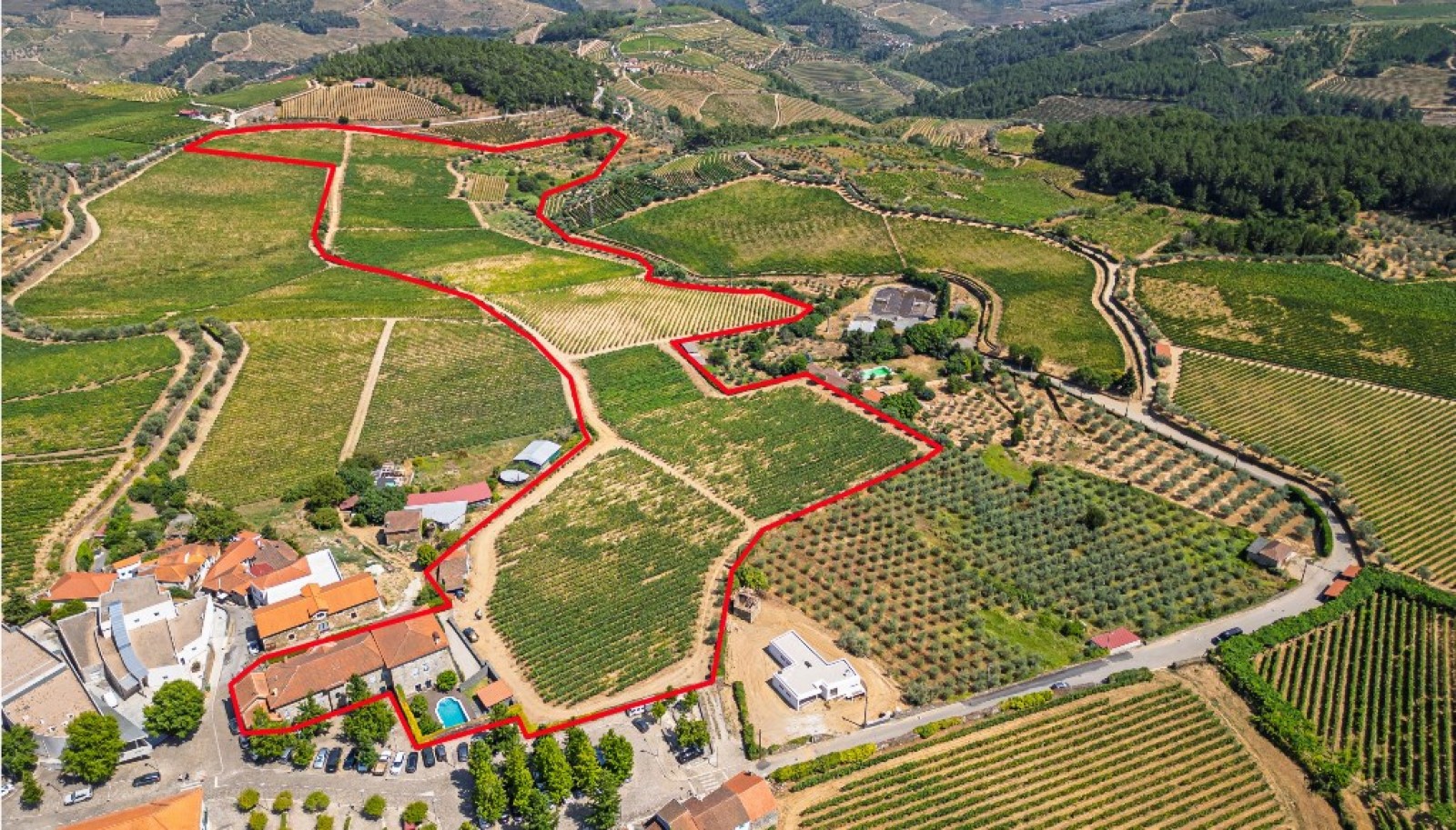 Wine estate for sale in Sabrosa in the Douro Demarcated Region, Portugal_337296