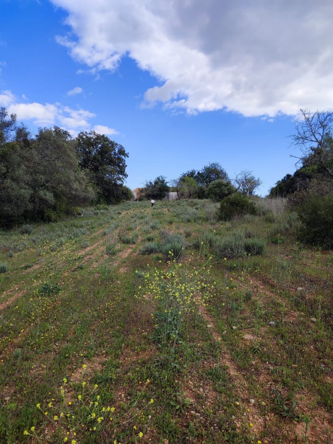 Terreno com 2 ruínas, para venda em Estoi, Algarve_339427