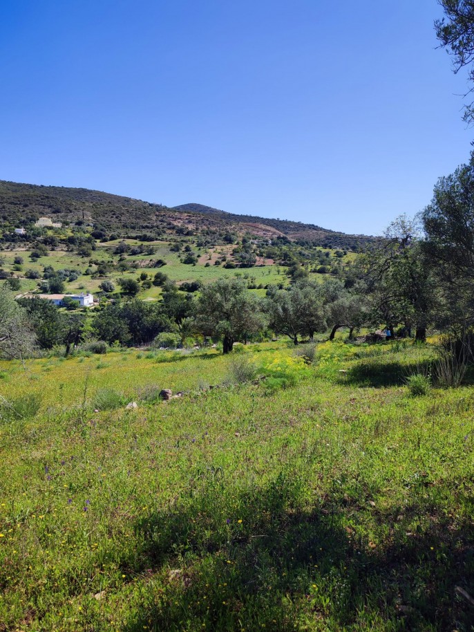 Terreno com 2 ruínas, para venda em Estoi, Algarve_339429