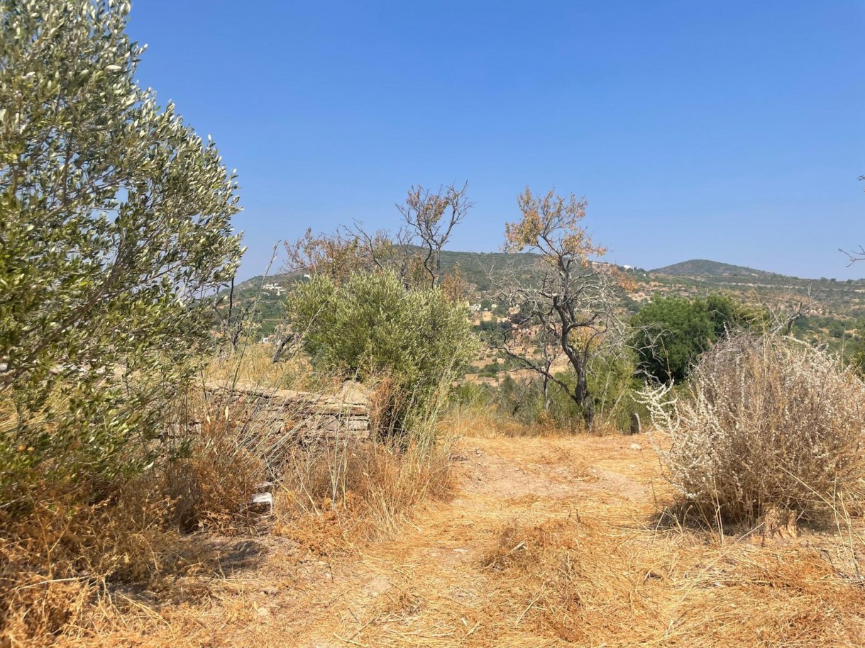 Terreno com 2 ruínas, para venda em Estoi, Algarve_339431