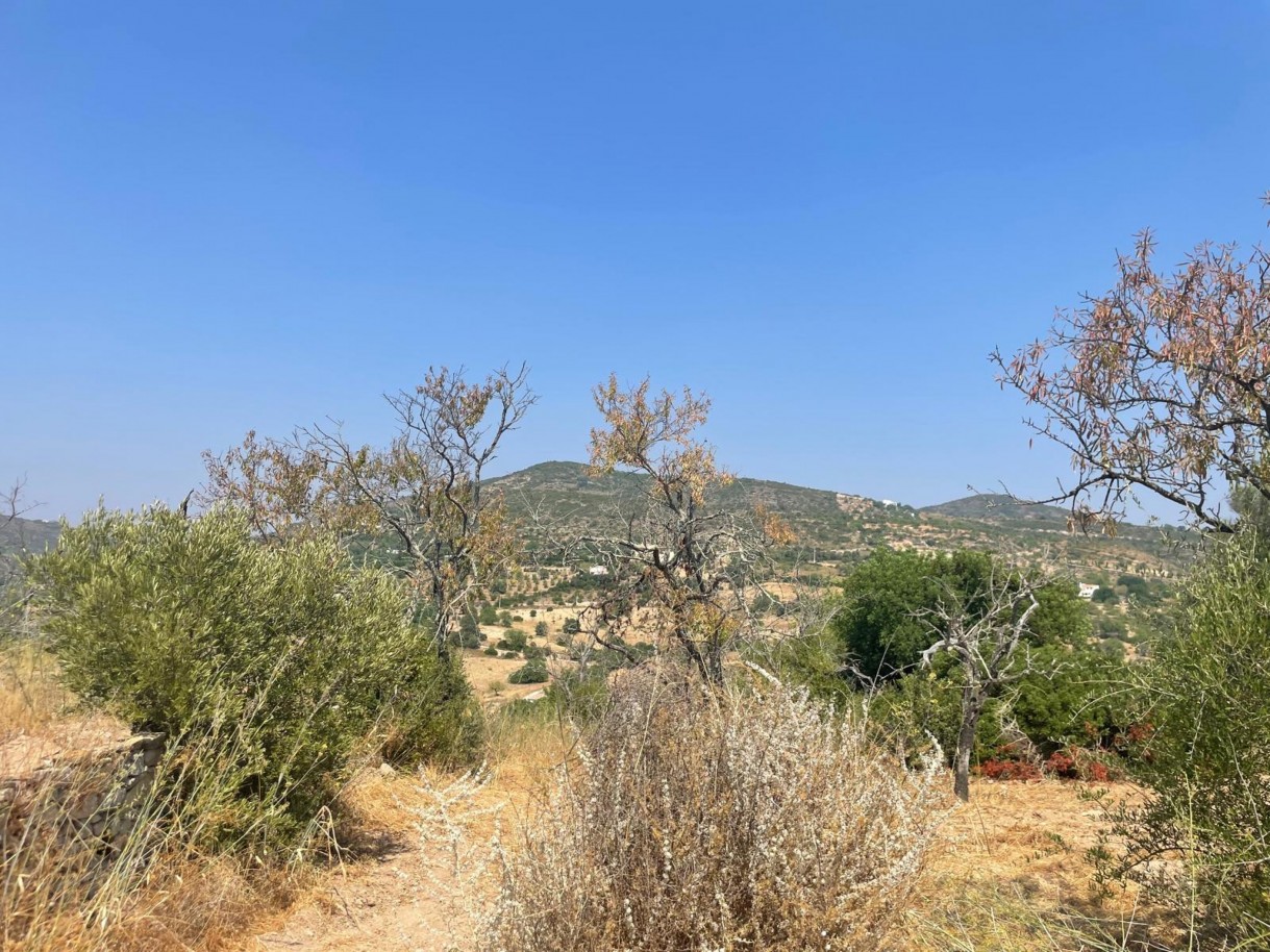 Terreno com 2 ruínas, para venda em Estoi, Algarve_339432