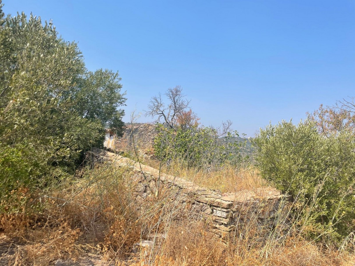 Terreno com 2 ruínas, para venda em Estoi, Algarve_339433