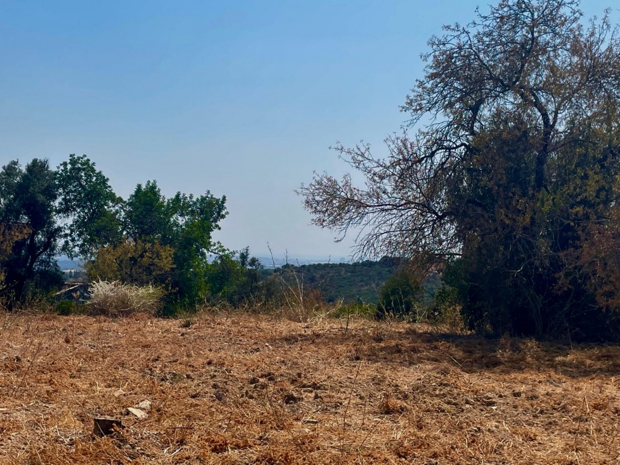 Terreno com 2 ruínas, para venda em Estoi, Algarve_339435