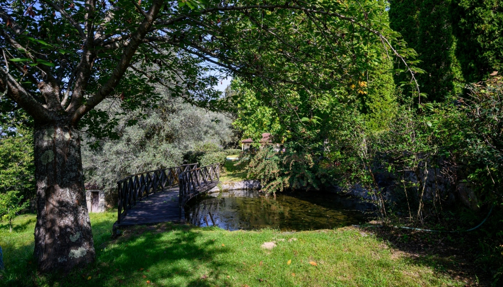 Quinta da Mata com duas casas e piscina para venda em Ponte de Lima_341349