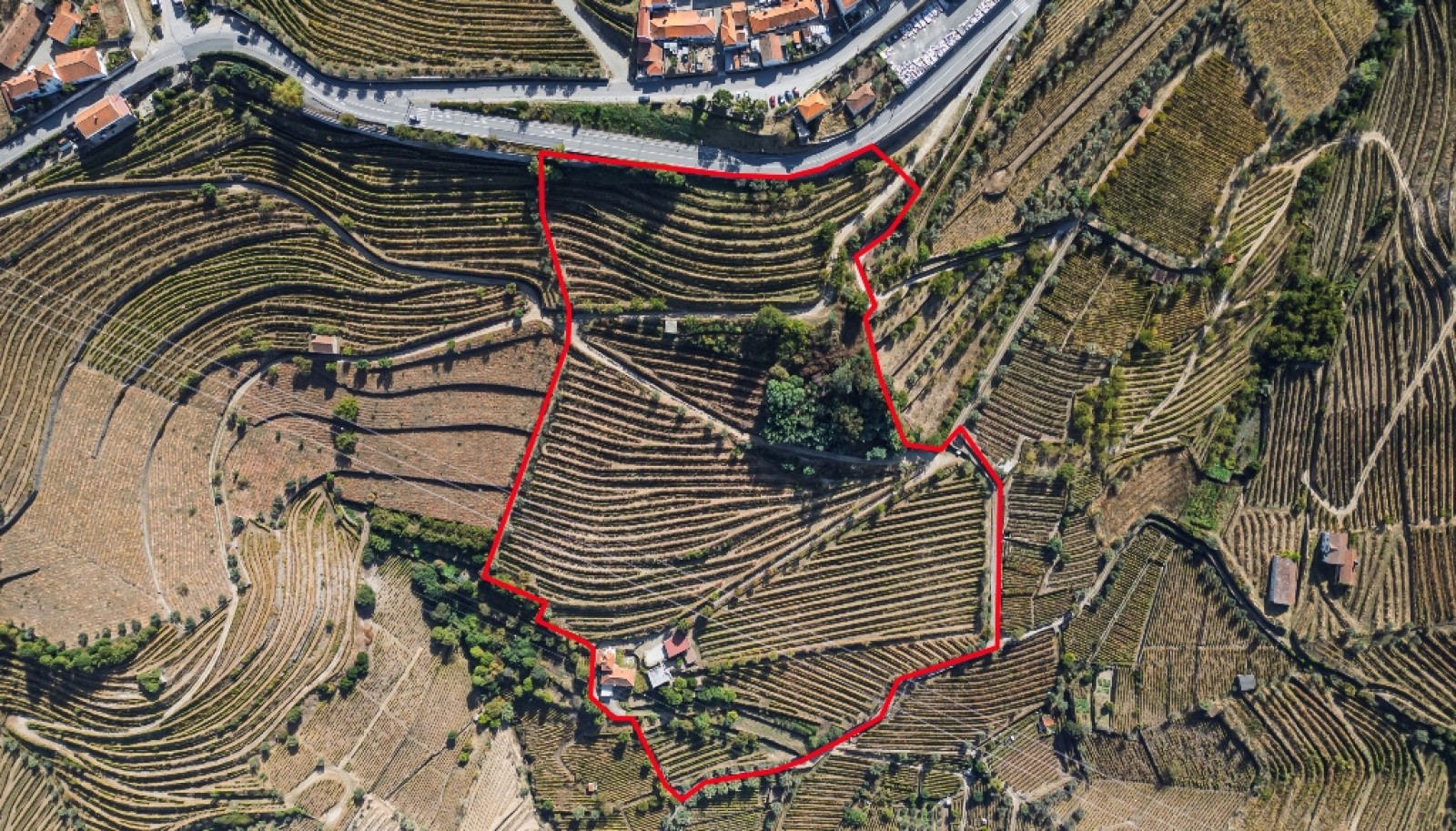 Quinta Vinícola à venda no Douro Valley em Cambres, Lamego_343669