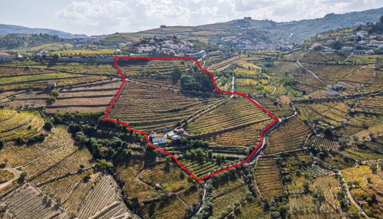 Quinta Vinícola à venda no Douro Valley em Cambres, Lamego_343671