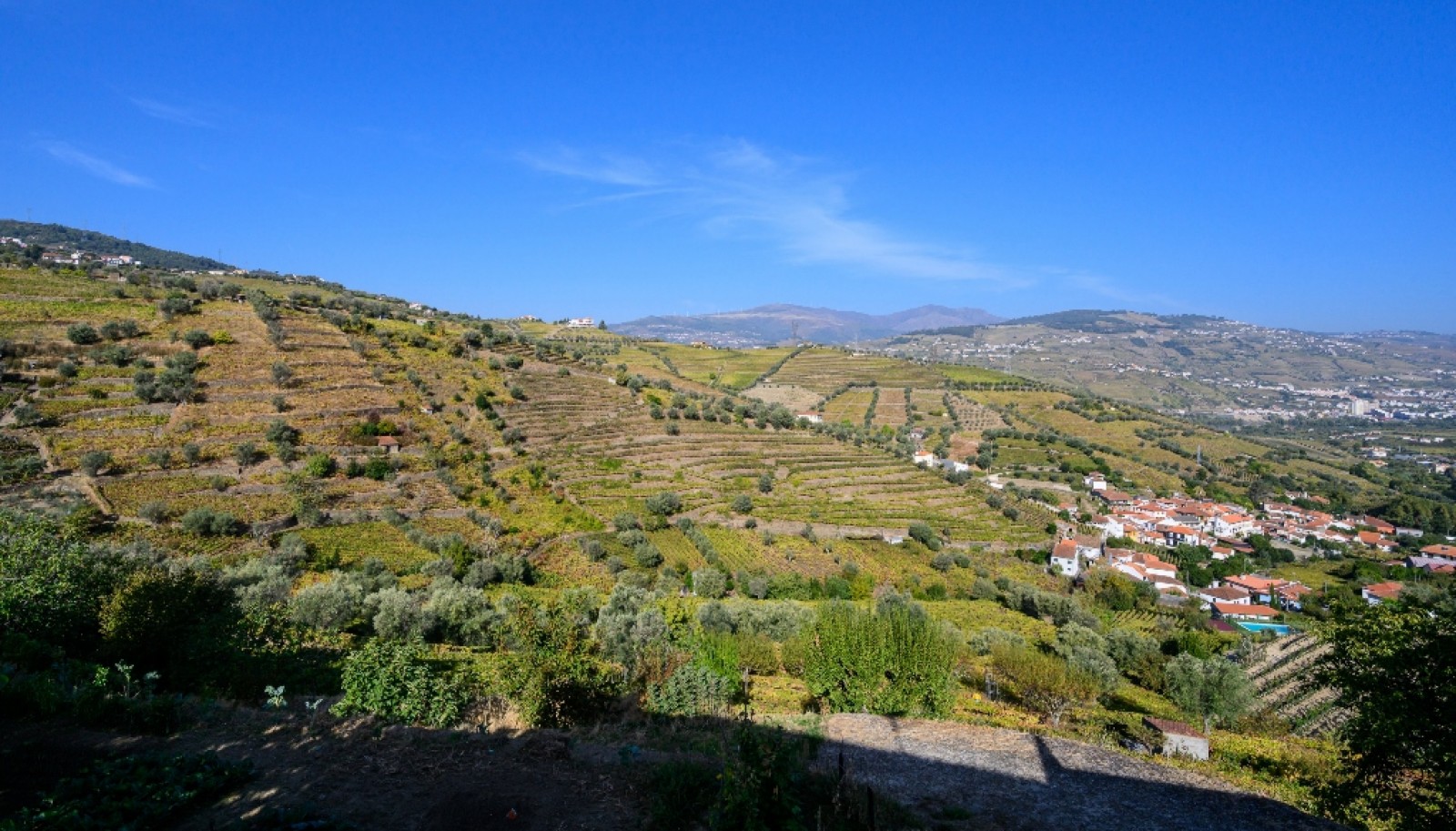 Quinta Vinícola à venda no Douro Valley em Cambres, Lamego_343677