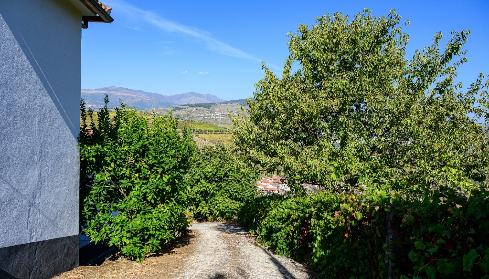 Quinta Vinícola à venda no Douro Valley em Cambres, Lamego_343700