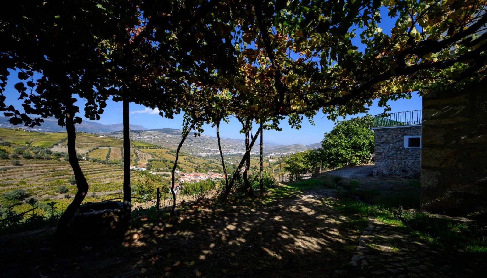 Quinta Vinícola à venda no Douro Valley em Cambres, Lamego_343722