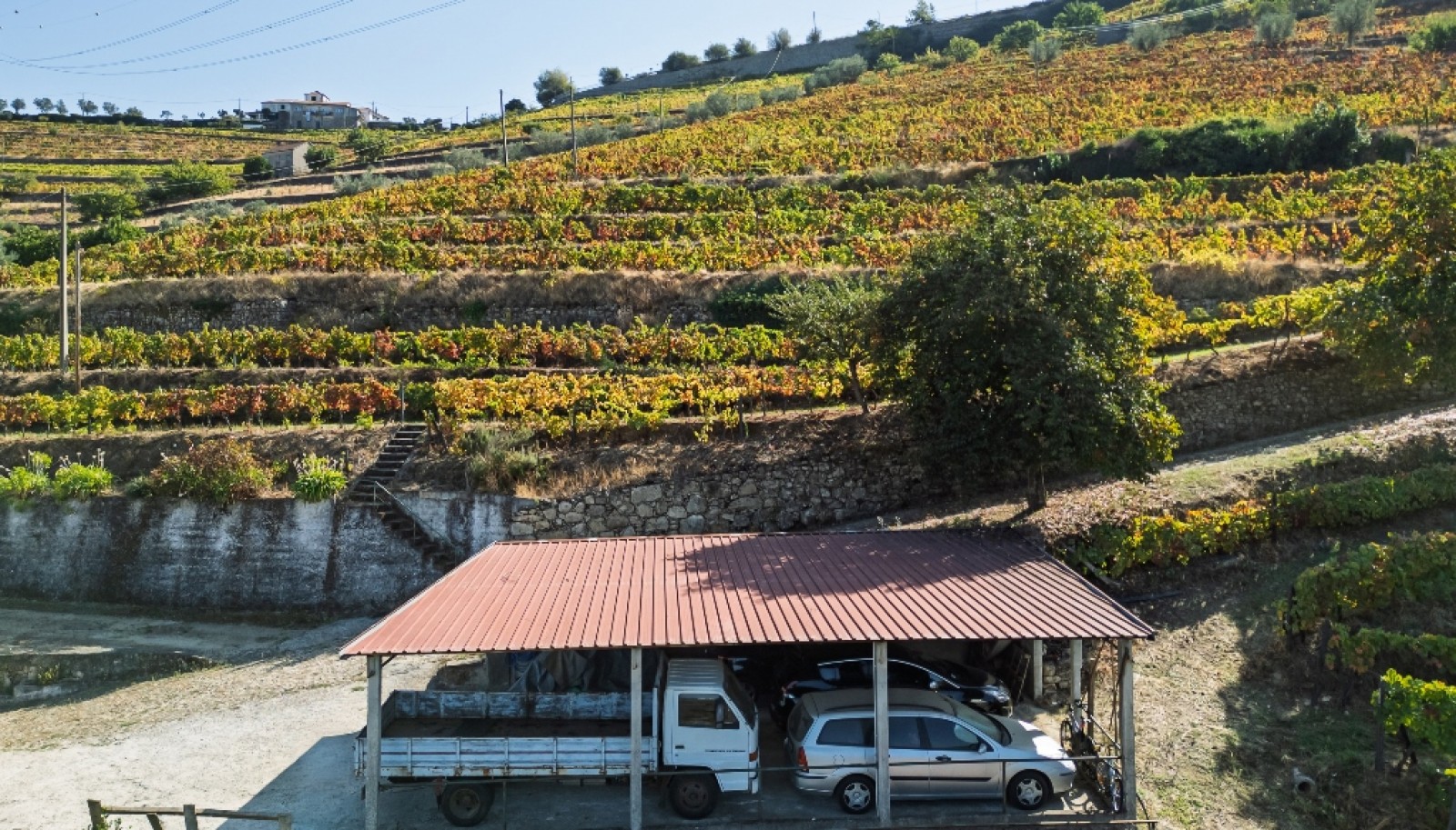 Quinta Vinícola à venda no Douro Valley em Cambres, Lamego_343723