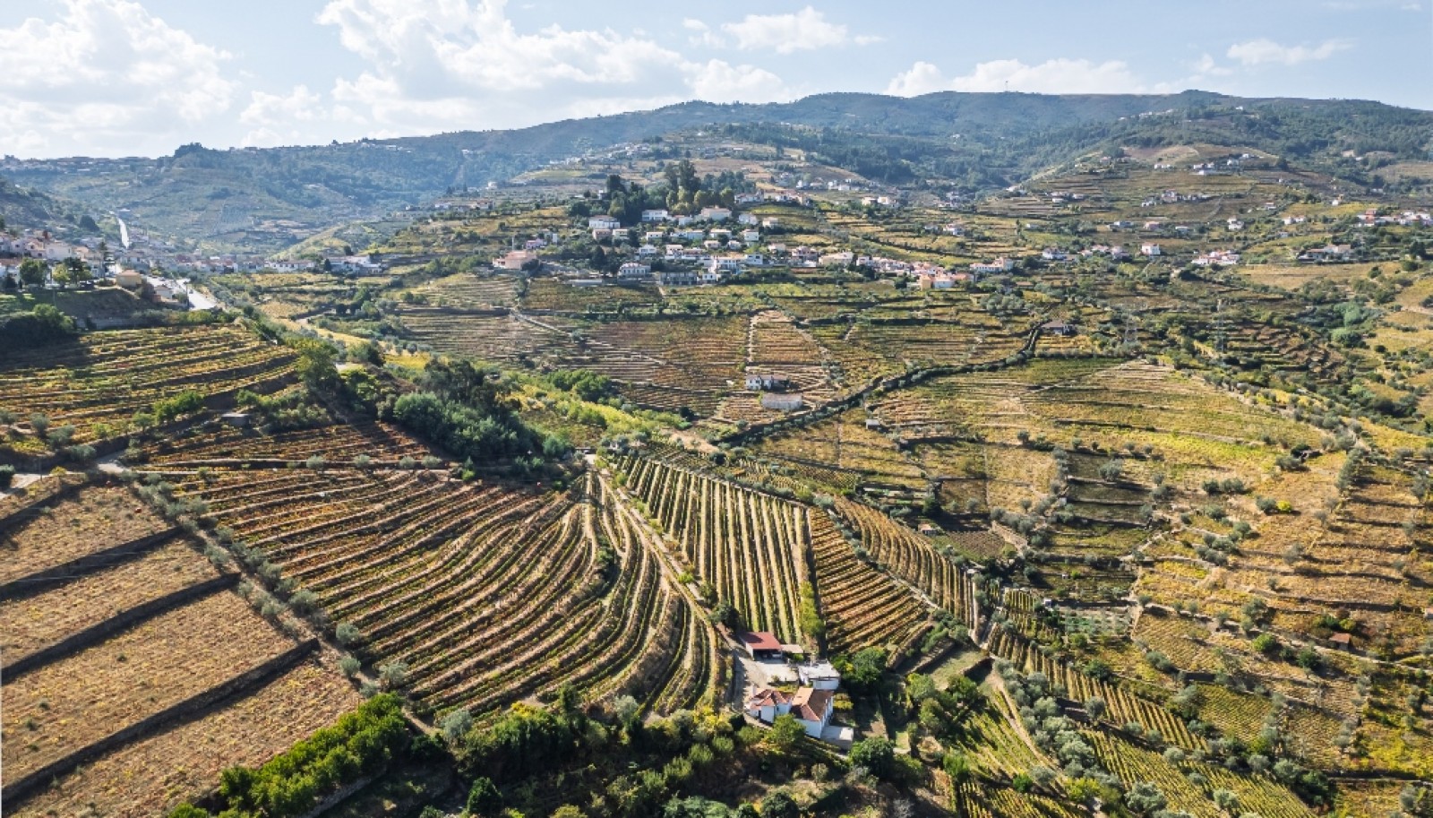 Quinta Vinícola à venda no Douro Valley em Cambres, Lamego_343735