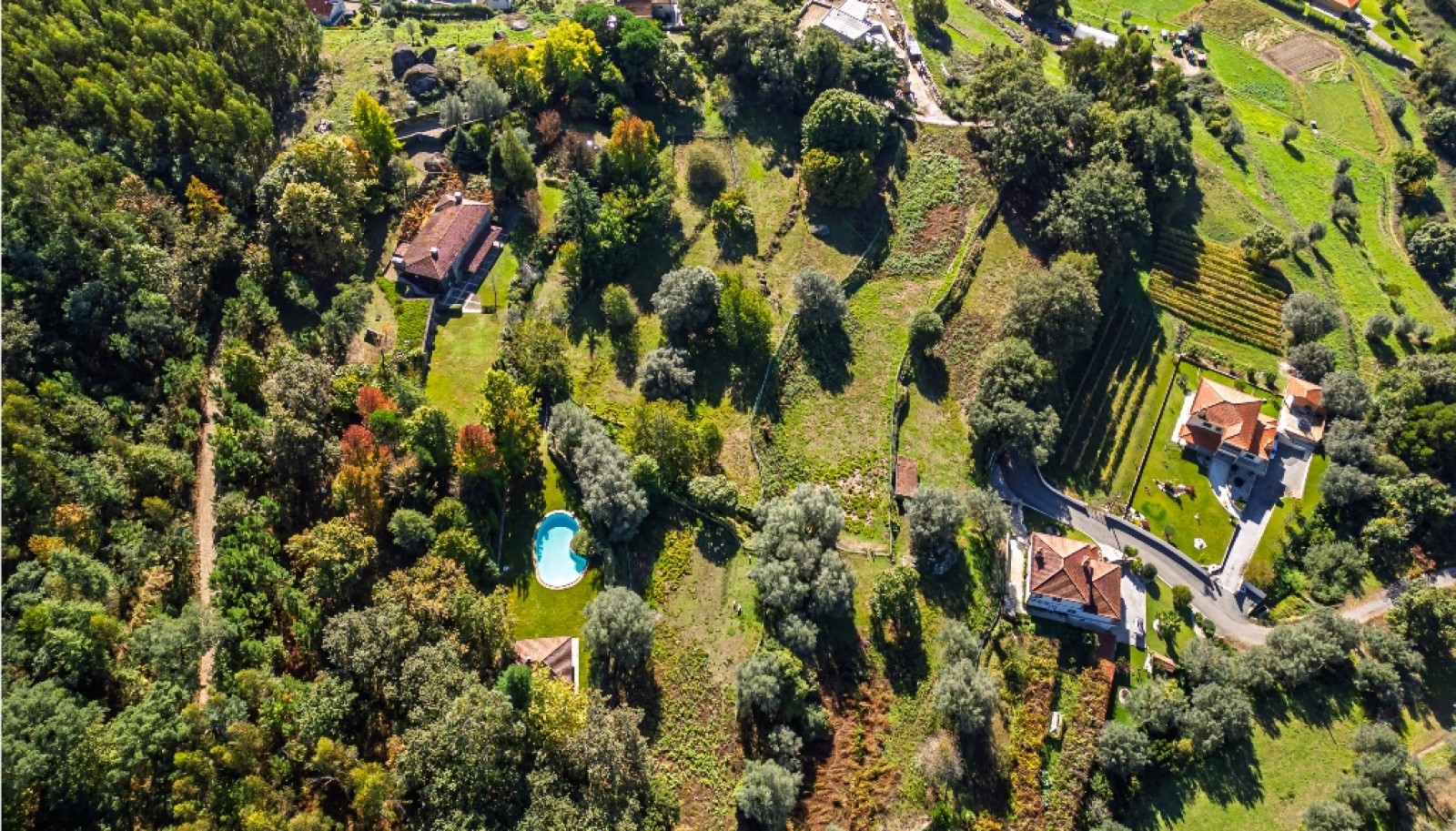 Quinta da Mata com duas casas e piscina para venda em Ponte de Lima_344433