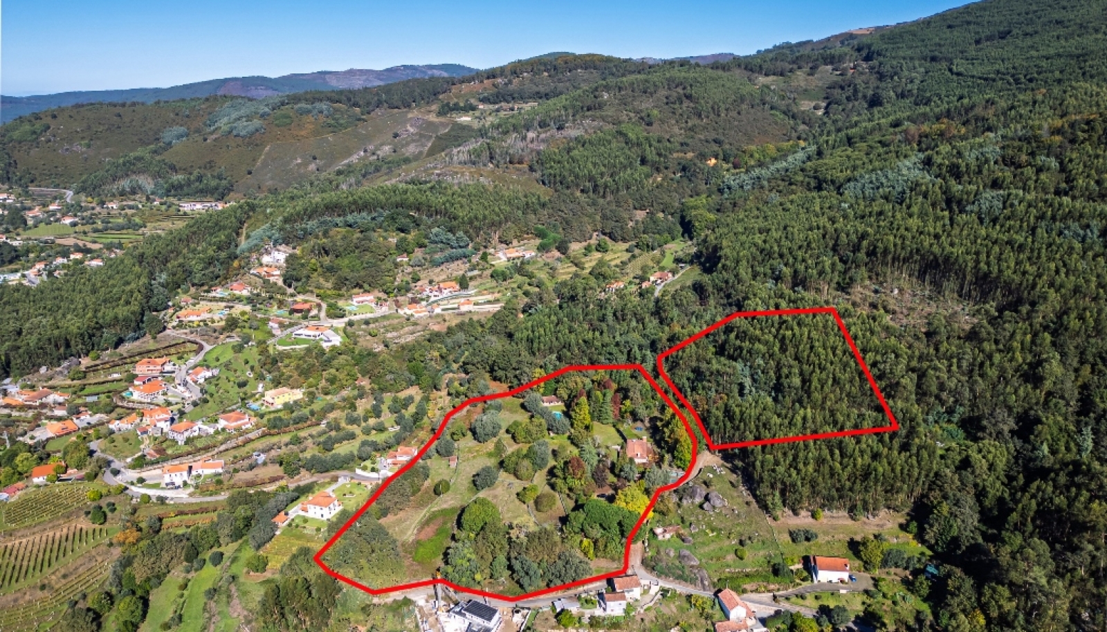 Quinta da Mata com duas casas e piscina para venda em Ponte de Lima_344438