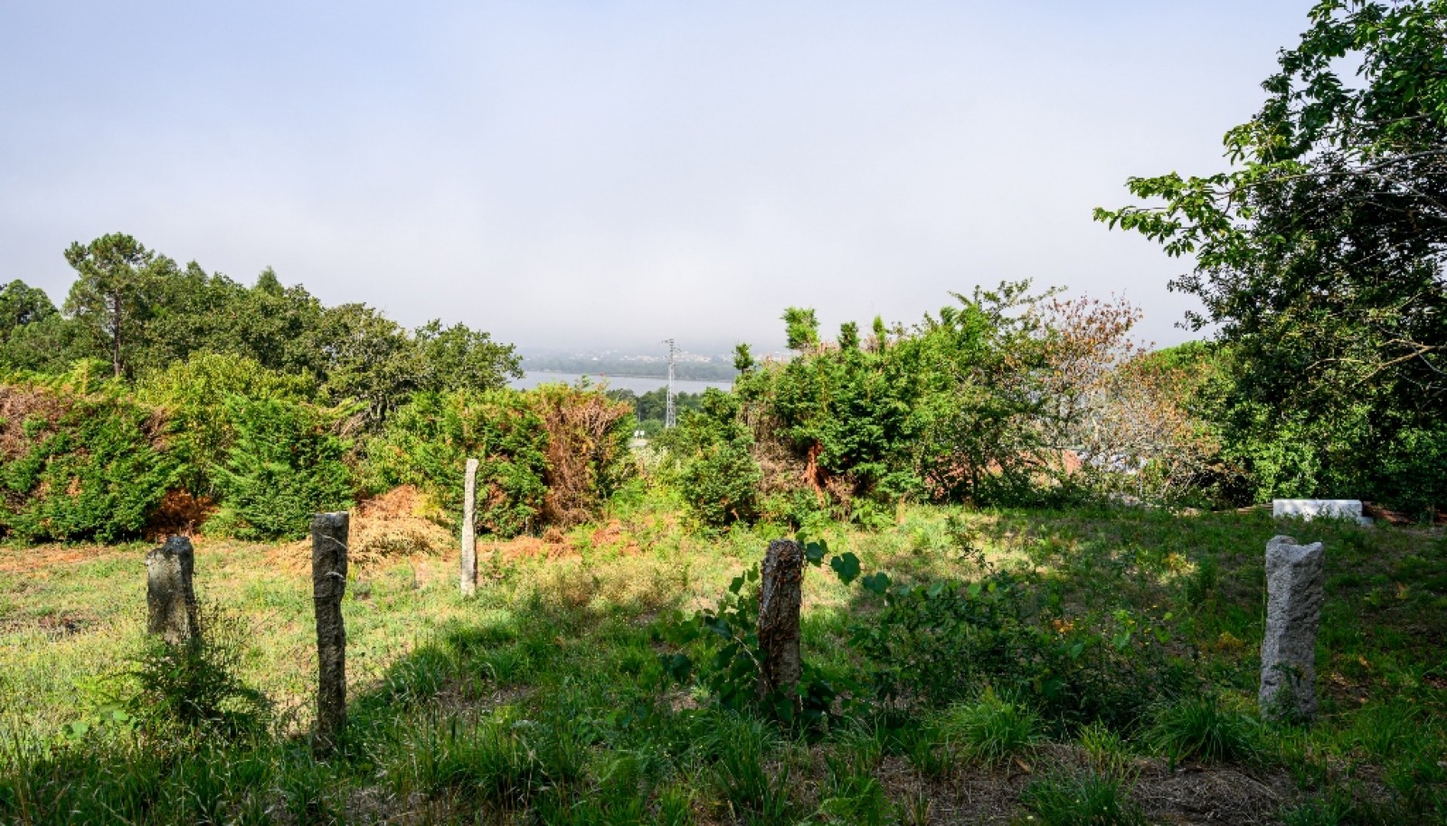 Terreno com projeto aprovado para moradia em Vila Nova de Cerveira_344486