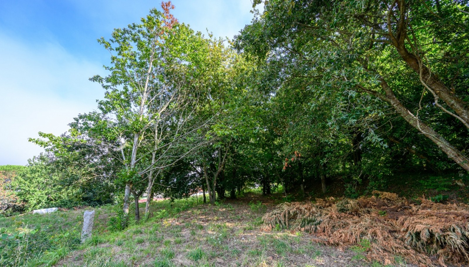 Terreno com projeto aprovado para moradia em Vila Nova de Cerveira_344488