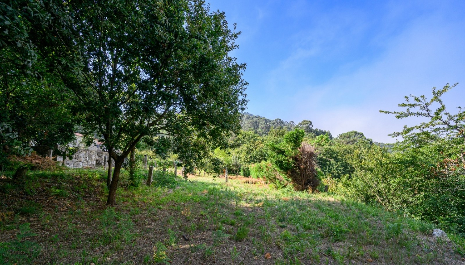 Terreno com projeto aprovado para moradia em Vila Nova de Cerveira_344493