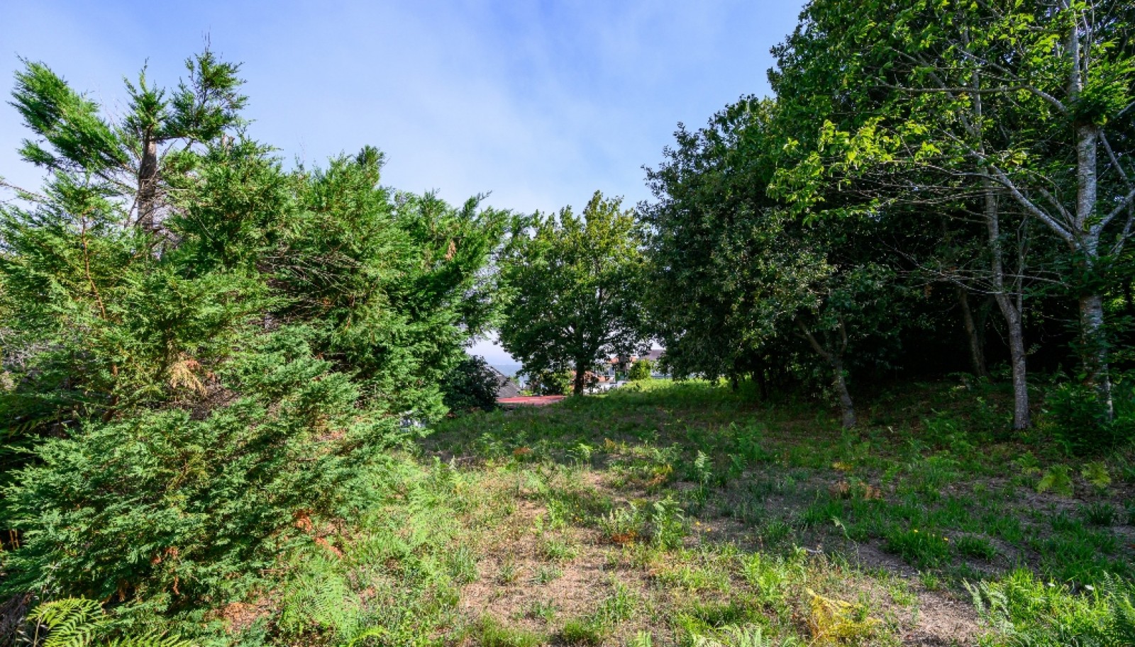 Terreno com projeto aprovado para moradia em Vila Nova de Cerveira_344497