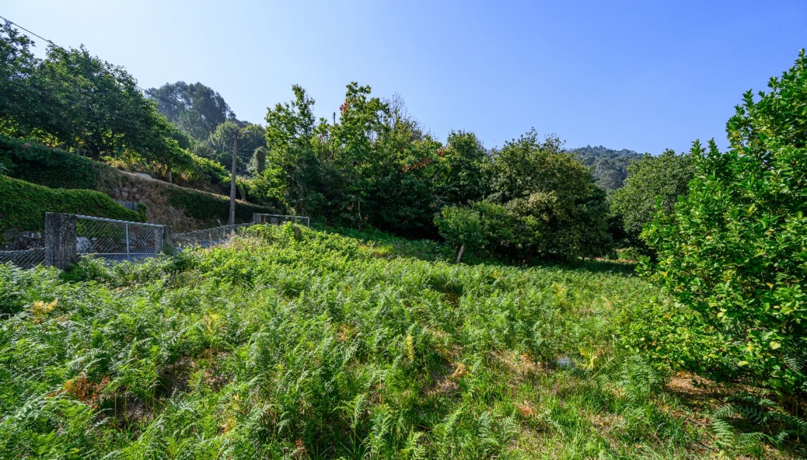 Terreno com projeto aprovado para moradia em Vila Nova de Cerveira_344498