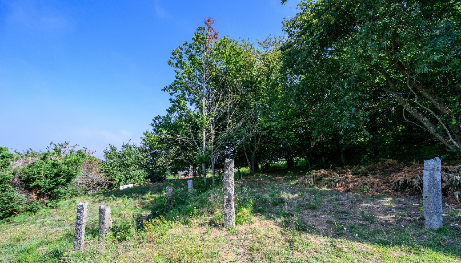 Terreno com projeto aprovado para moradia em Vila Nova de Cerveira_344500