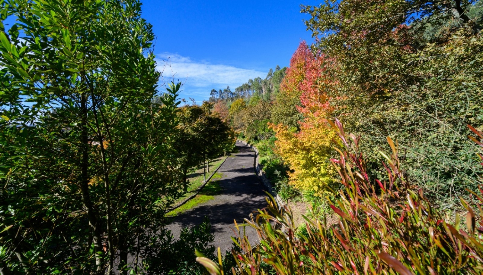Villa de 6 chambres avec jardin et piscine à vendre Guimarães, Portugal_346008