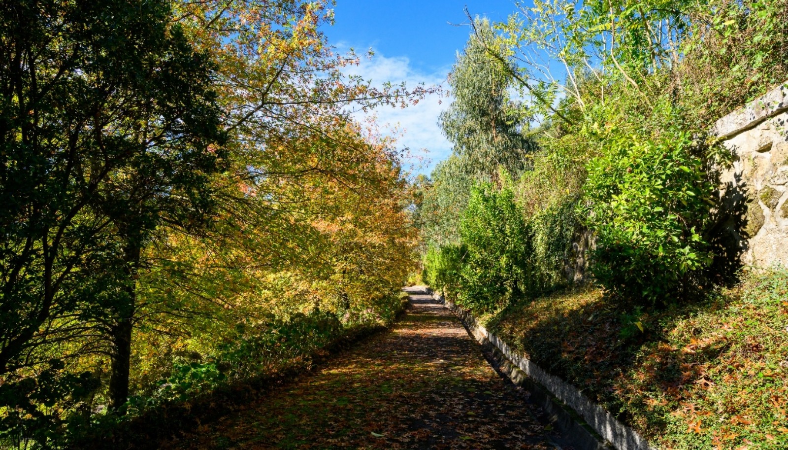 Villa de 6 chambres avec jardin et piscine à vendre Guimarães, Portugal_346019