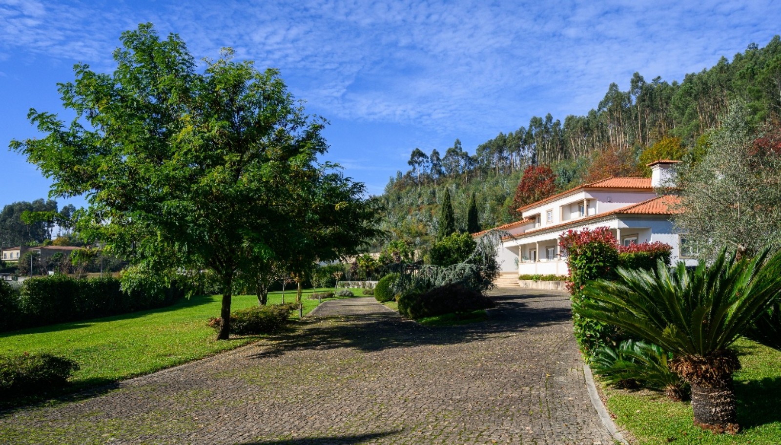 Villa de 6 chambres avec jardin et piscine à vendre Guimarães, Portugal_346038