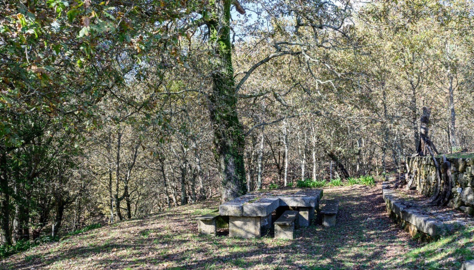 Quinta da Longra com três quartos para venda em Arouca, Portugal_350082