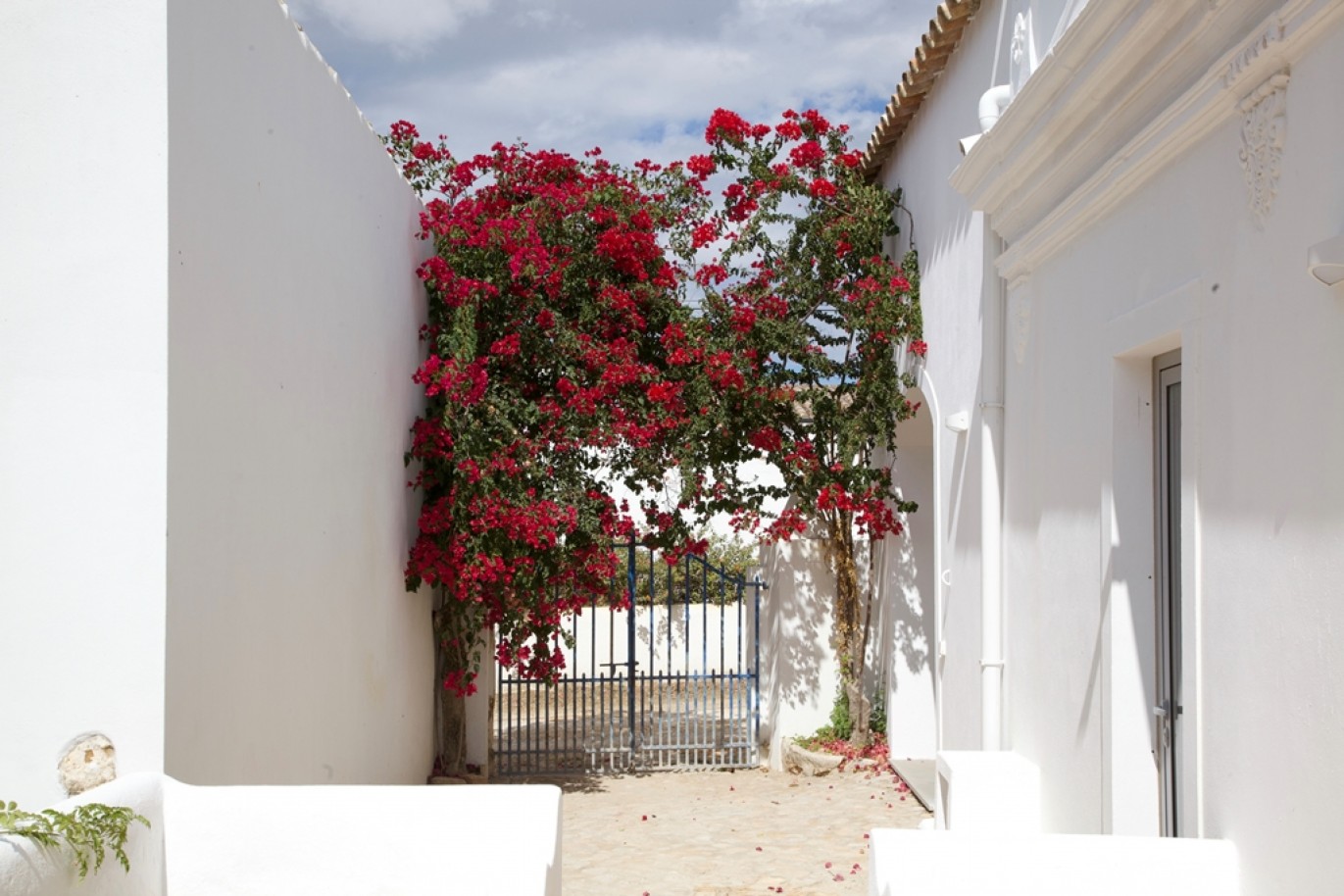 Quinta de 7 quartos, com piscina à venda em Olhão, Algarve_350603