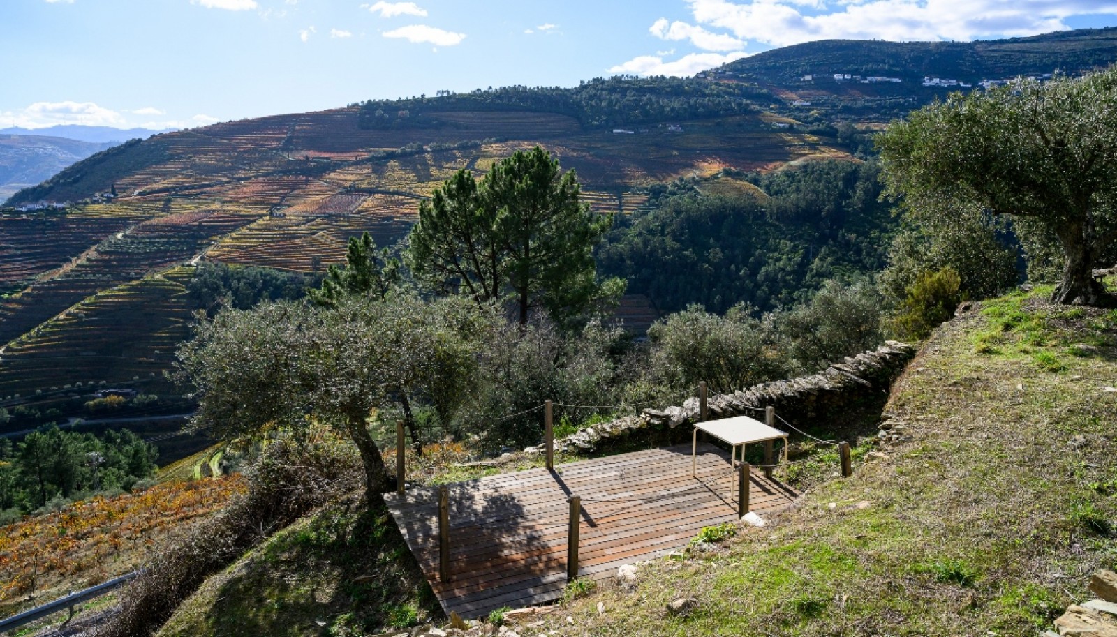 Casa de Arquitecto à venda na Região Demarcada do Douro, no Pinhão_354071