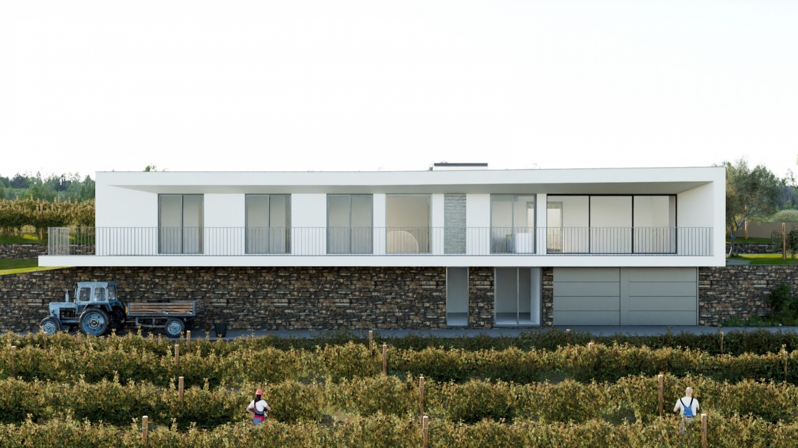 Ferme à vendre avec projet approuvé dans Douro Valley, Portugal_354119