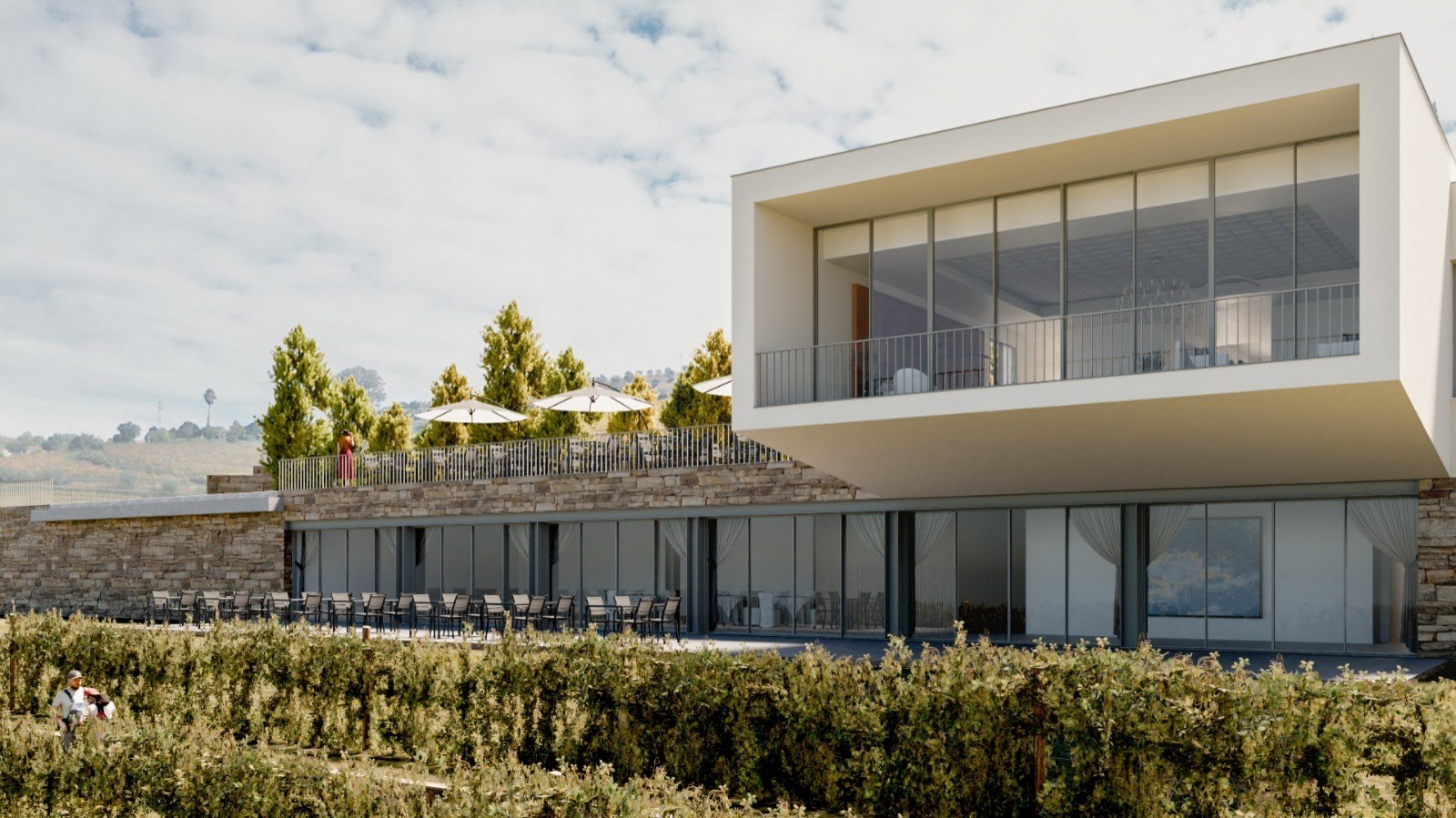 Weingut zu verkaufen im Abgegrenzte Region des Douro, Portugal_354345