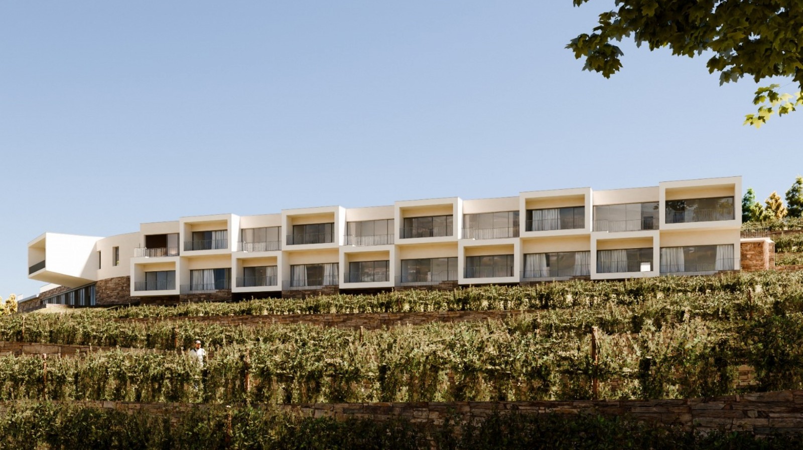 Weingut zu verkaufen im Abgegrenzte Region des Douro, Portugal_354347