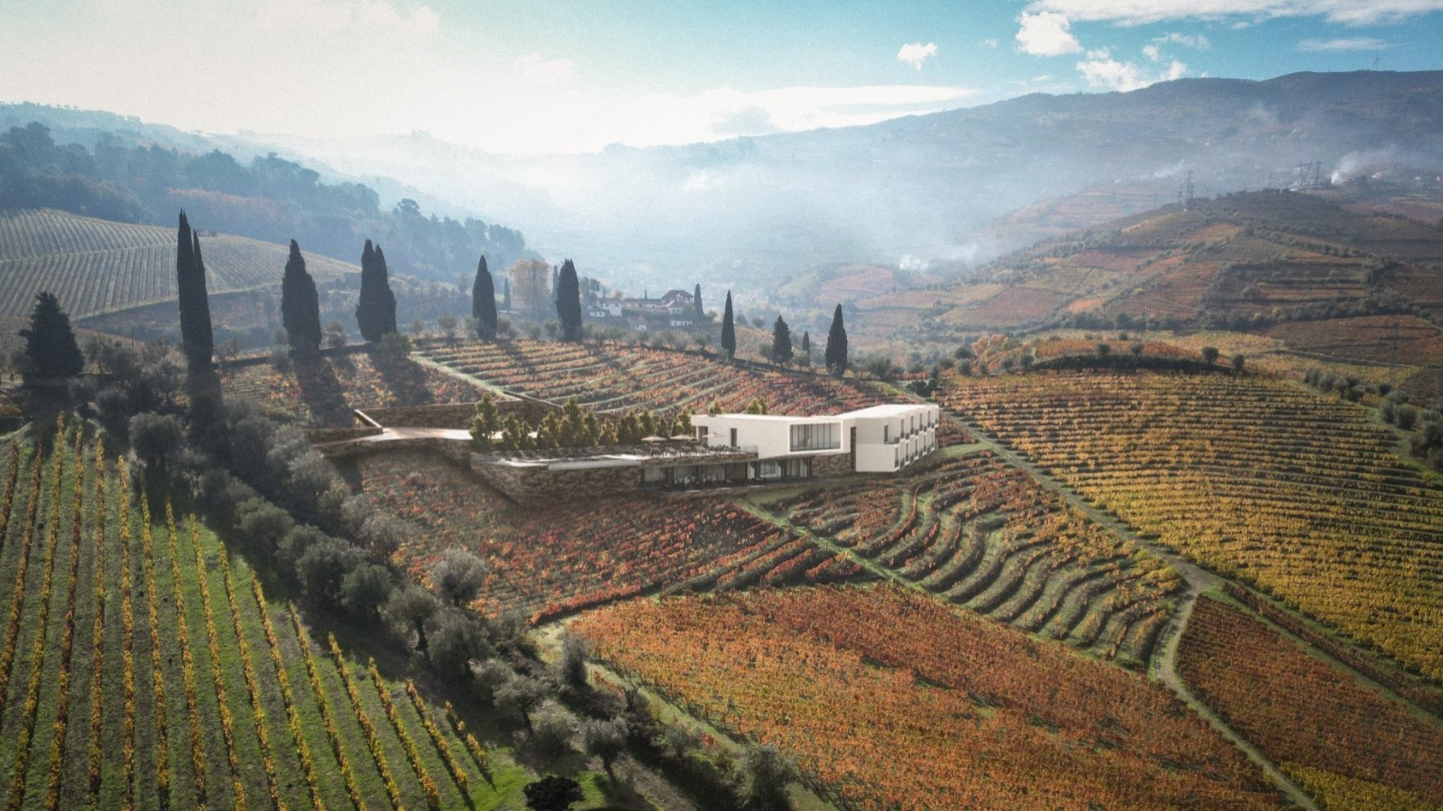 Weingut zu verkaufen im Abgegrenzte Region des Douro, Portugal_354348