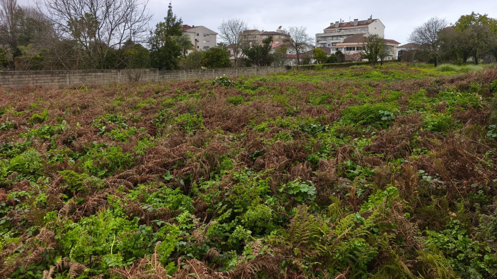 Building land for sale in Paços de Brandão, Portugal_354775