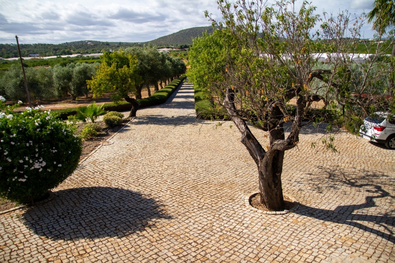 Fantastic property for sale in Moncarapacho, Algarve, Portugal_358405