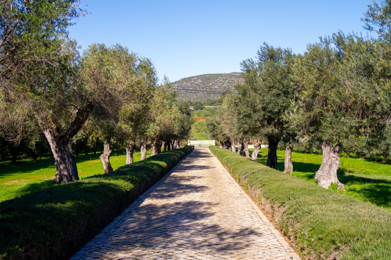 Fantastic property for sale in Moncarapacho, Algarve, Portugal_358414