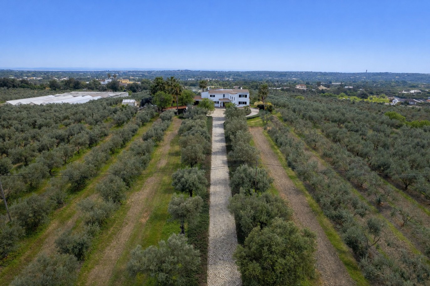 Fantastic property for sale in Moncarapacho, Algarve, Portugal_359334