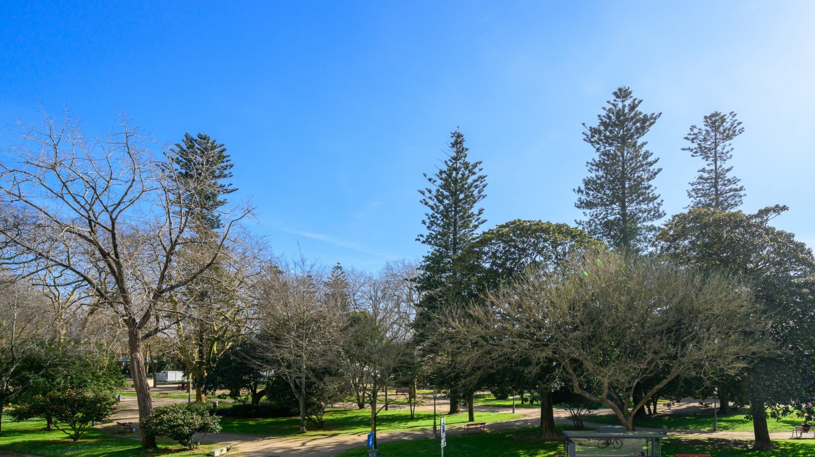 Apartment with balcony to rent in Passeio Alegre in Porto, Portugal_359741